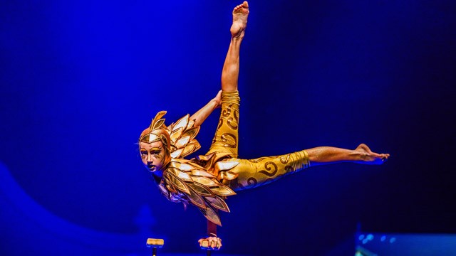 Цирковое шоу Сны Пушкина